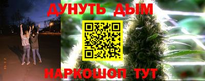 стафф Нальчик