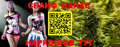 стафф Нальчик