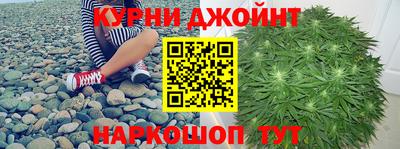 стафф Нальчик