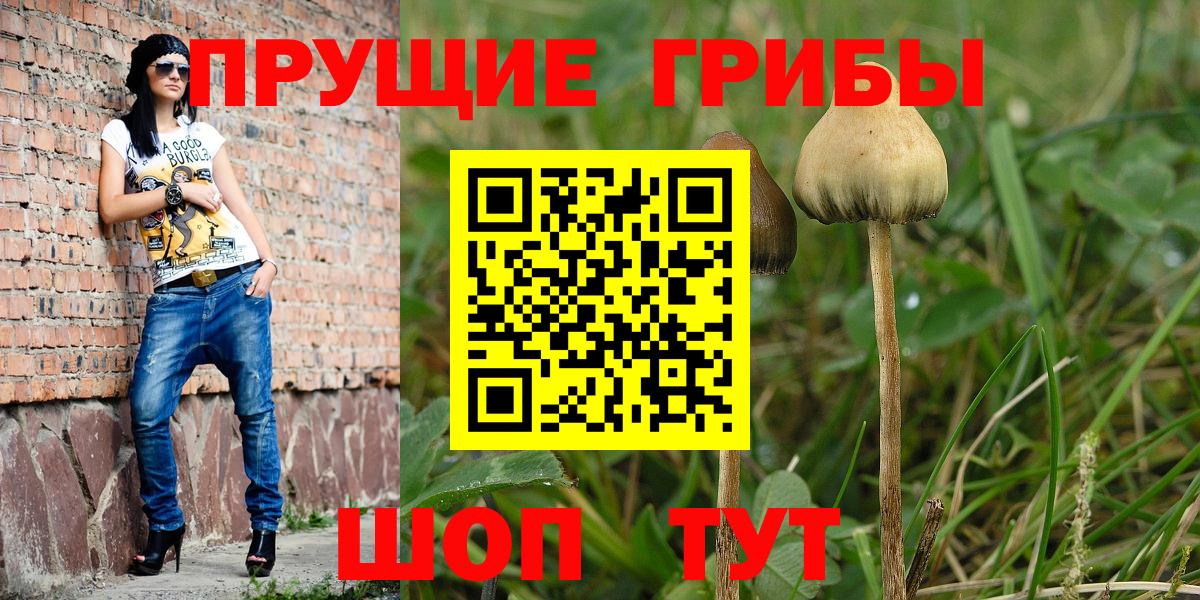 Псилоцибиновые грибы Cubensis  Вход с VPN  Псилоцибиновые грибы Magic Shrooms  Уварово 