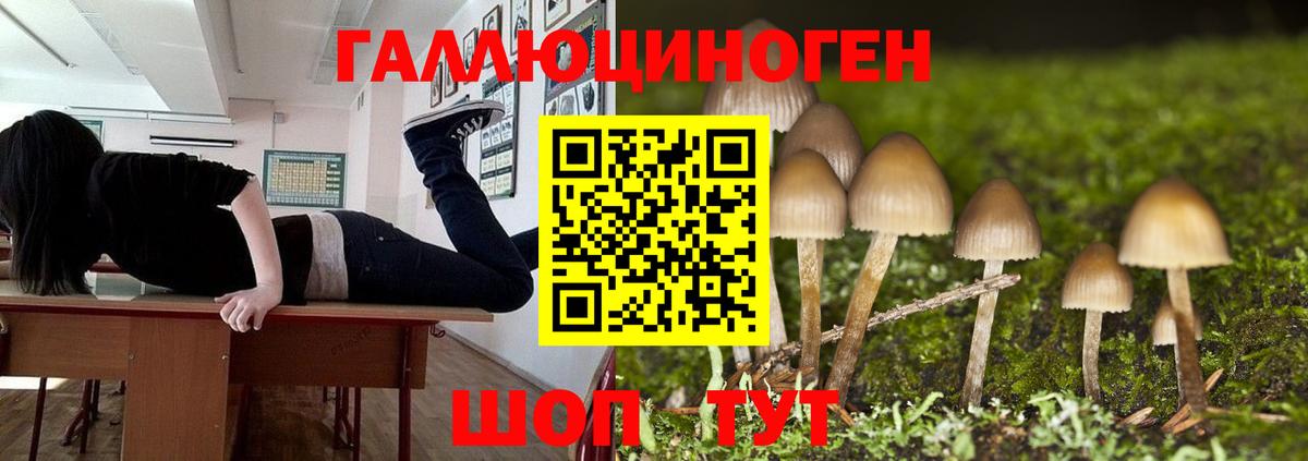 Псилоцибиновые грибы Psilocybe Уварово